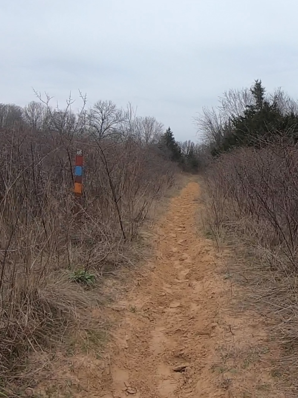 Grasslands Trail Run photo 7