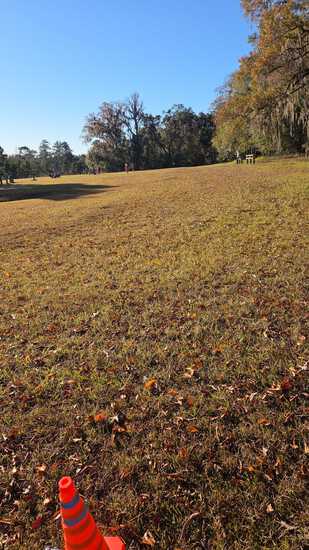 Holiday 5K, 10K, & 13.1M at Tallahassee, FL (49) photo 1