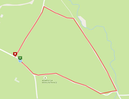 Run to the Rock photo 11