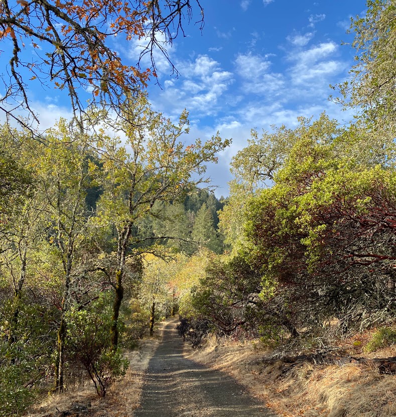 Napa Wine Country Marathon photo 5