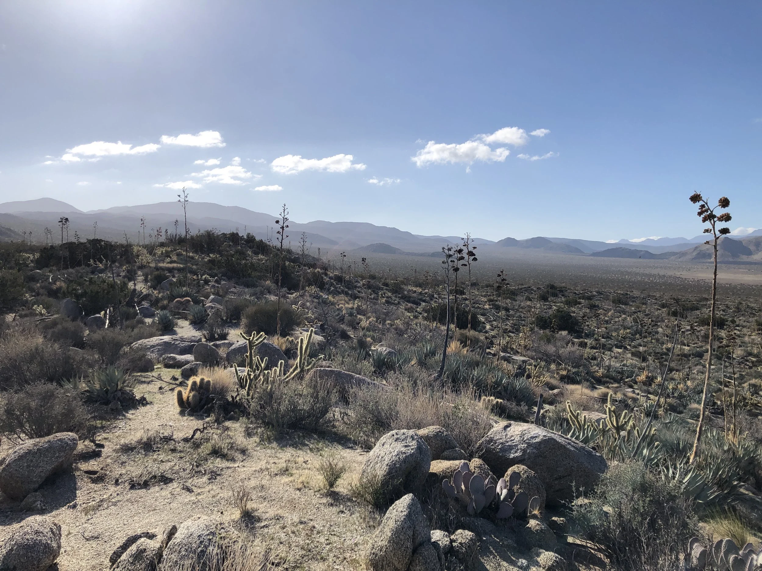 Old West Trail Runs photo 5