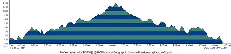 Diablo Trail Run photo 3