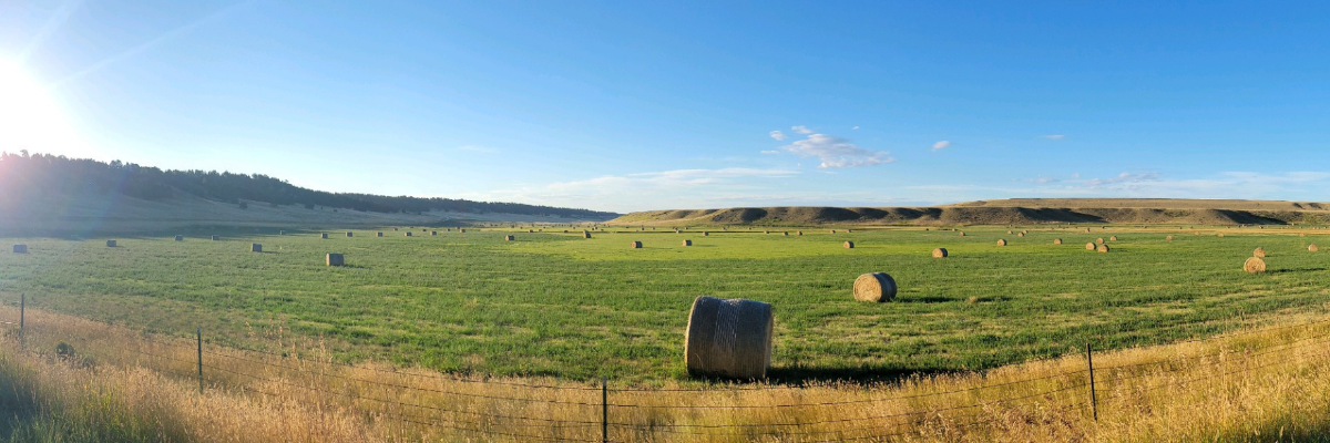 AIDSPIRIT USA Marathon photo 1