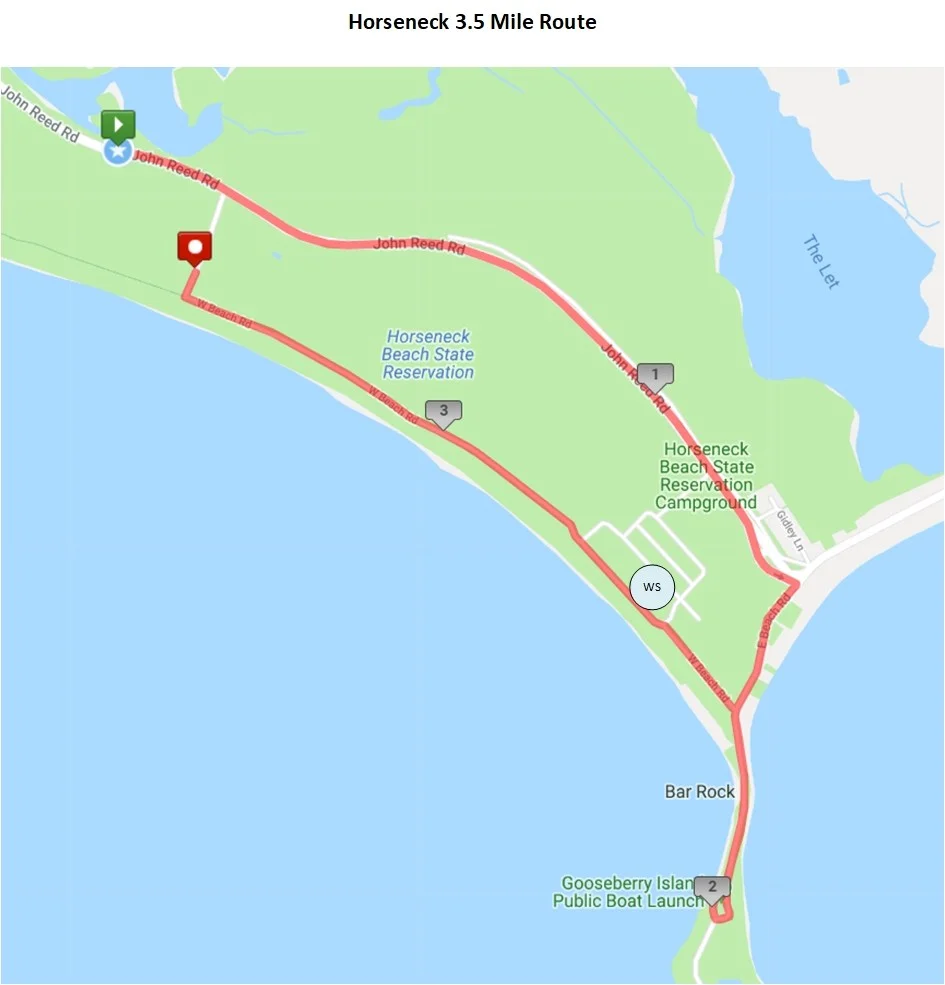 Horseneck Half & 3.5 Miler photo 8