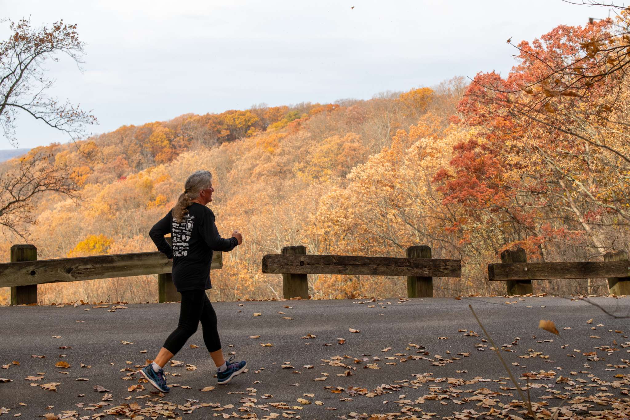 Brown County YMCA Hilly Half photo 6
