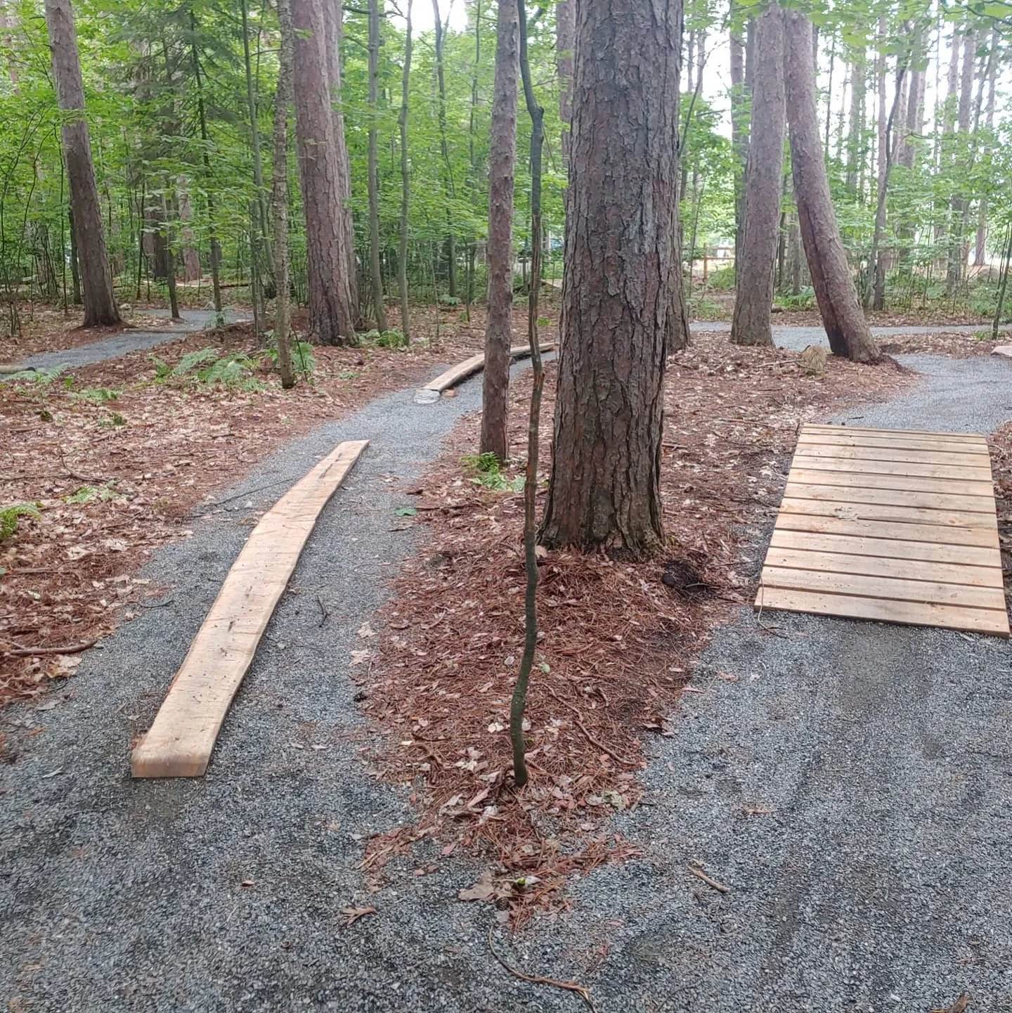 Marquette Trails Festival photo 8