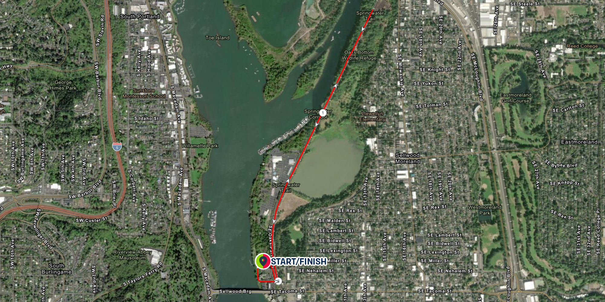 Cinco de Mayo photo 5