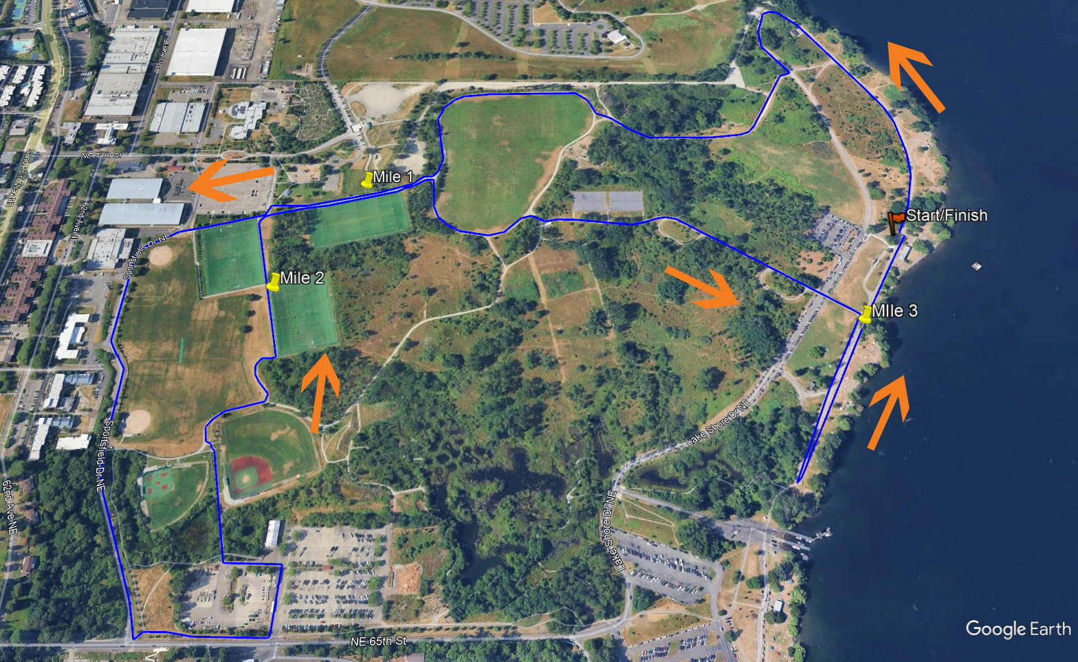 Solstice Run photo 4