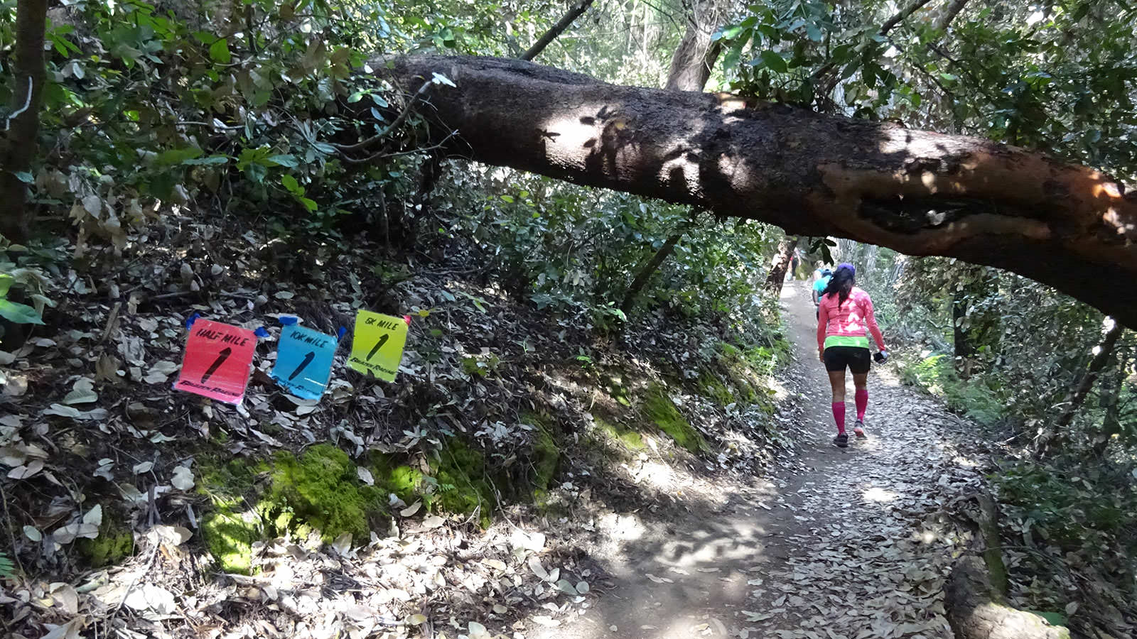 Trail Quake Half Marathon photo 4