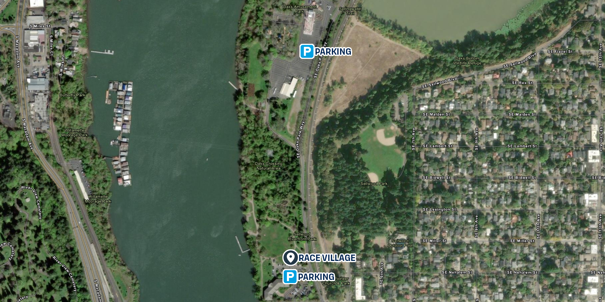 Grateful Dad photo 8