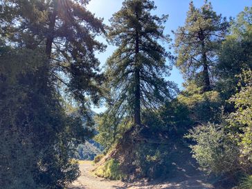 Saddleback Marathon photo 6