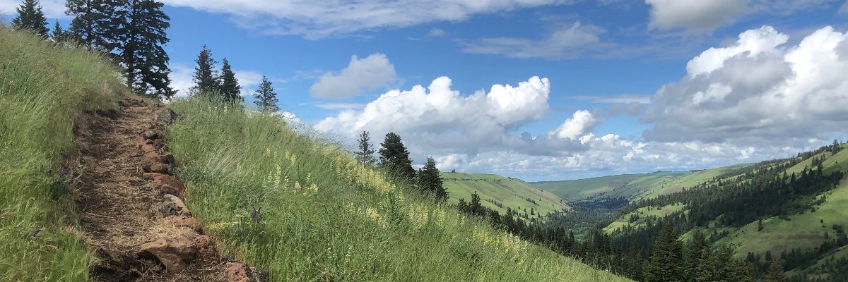 Jasper Mountain Trail Fest 2026 photo 1