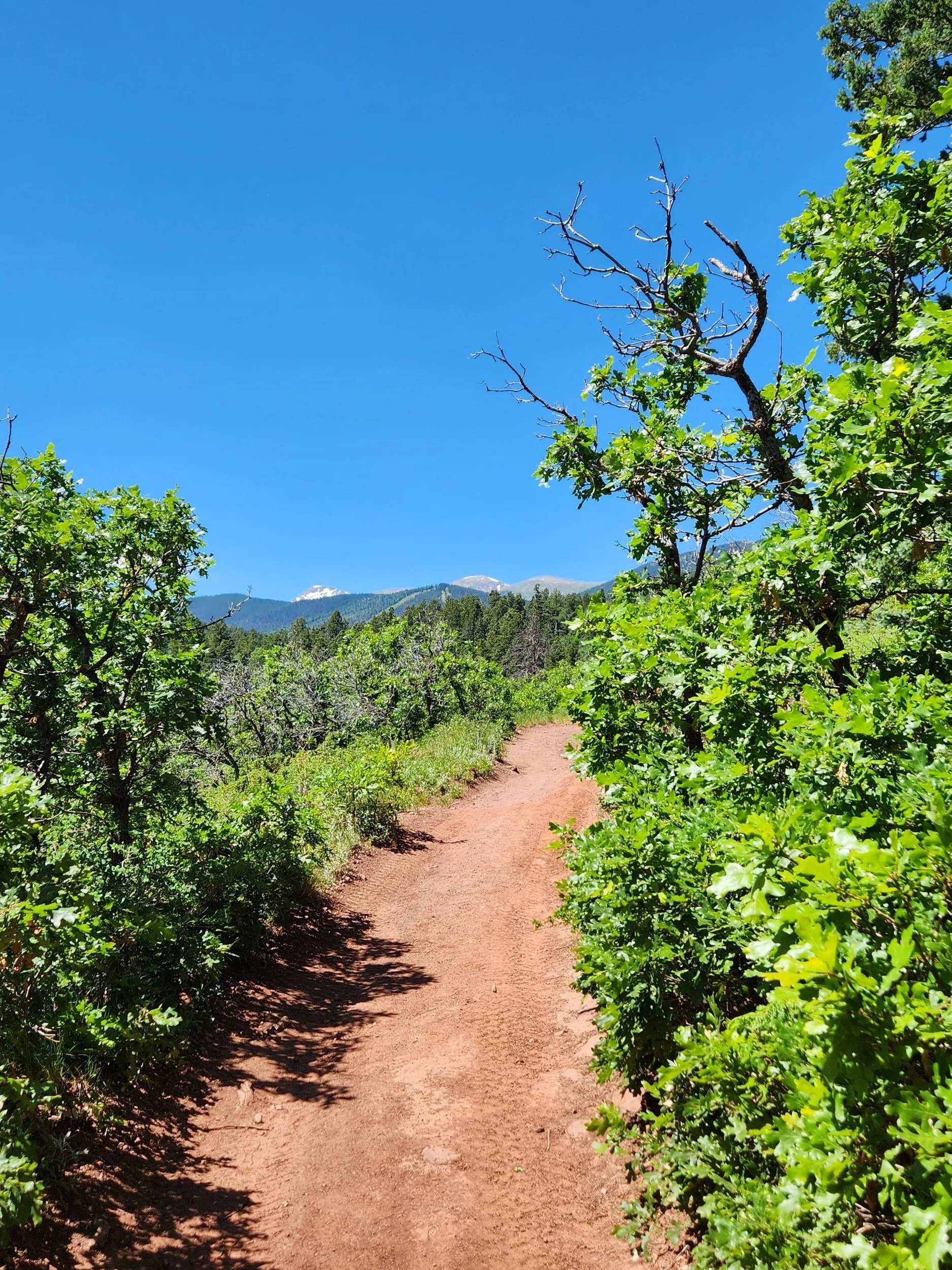 WILD Wahatoya Runs photo 4