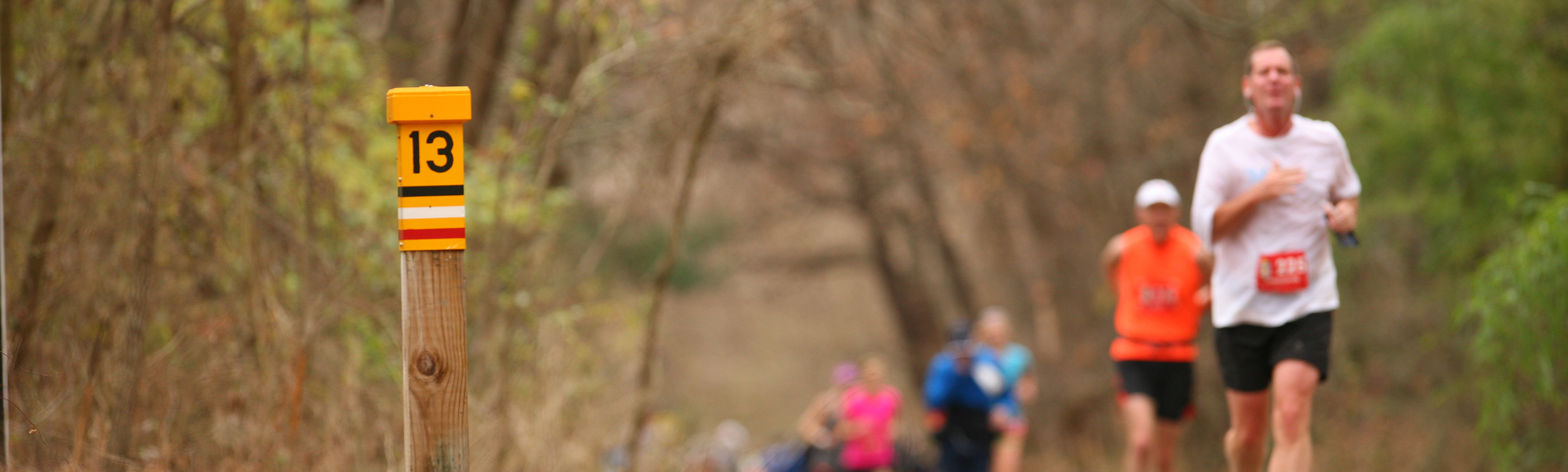 NCR Marathon & Half Marathon photo 3