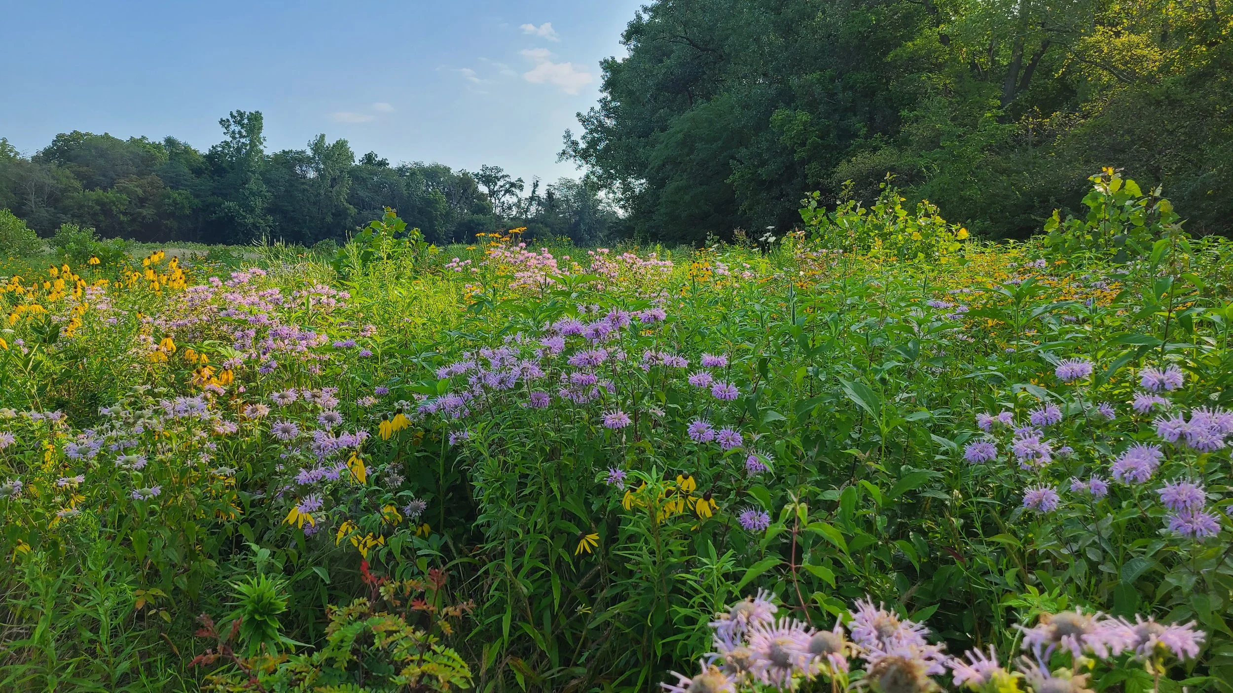 Tour de Darke photo 2