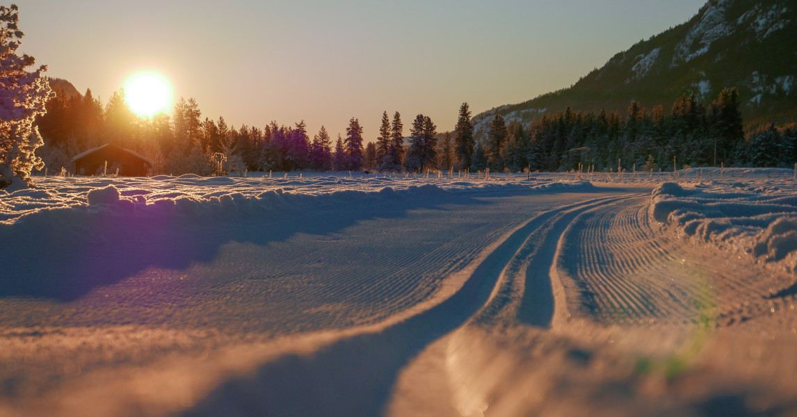 Sunflower Trail Marathon photo 8