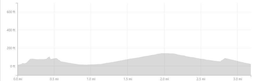 Star City San Bruno Mountain Half Marathon photo 11