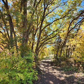 Deer Creek Half Marathon photo 7