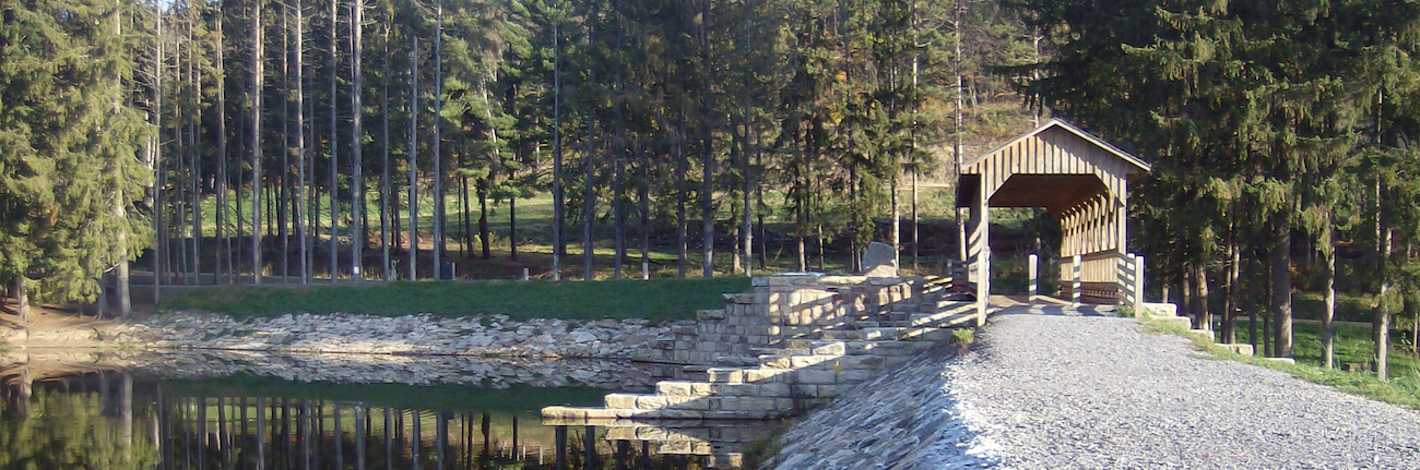 Marilla Trail Race photo 9