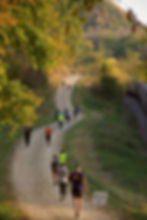 The Driftless Half Marathon photo 2