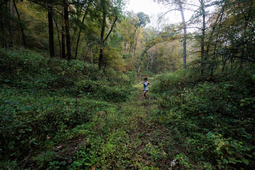 Iowa Trail Run Series: Yellow River State Forest photo 8