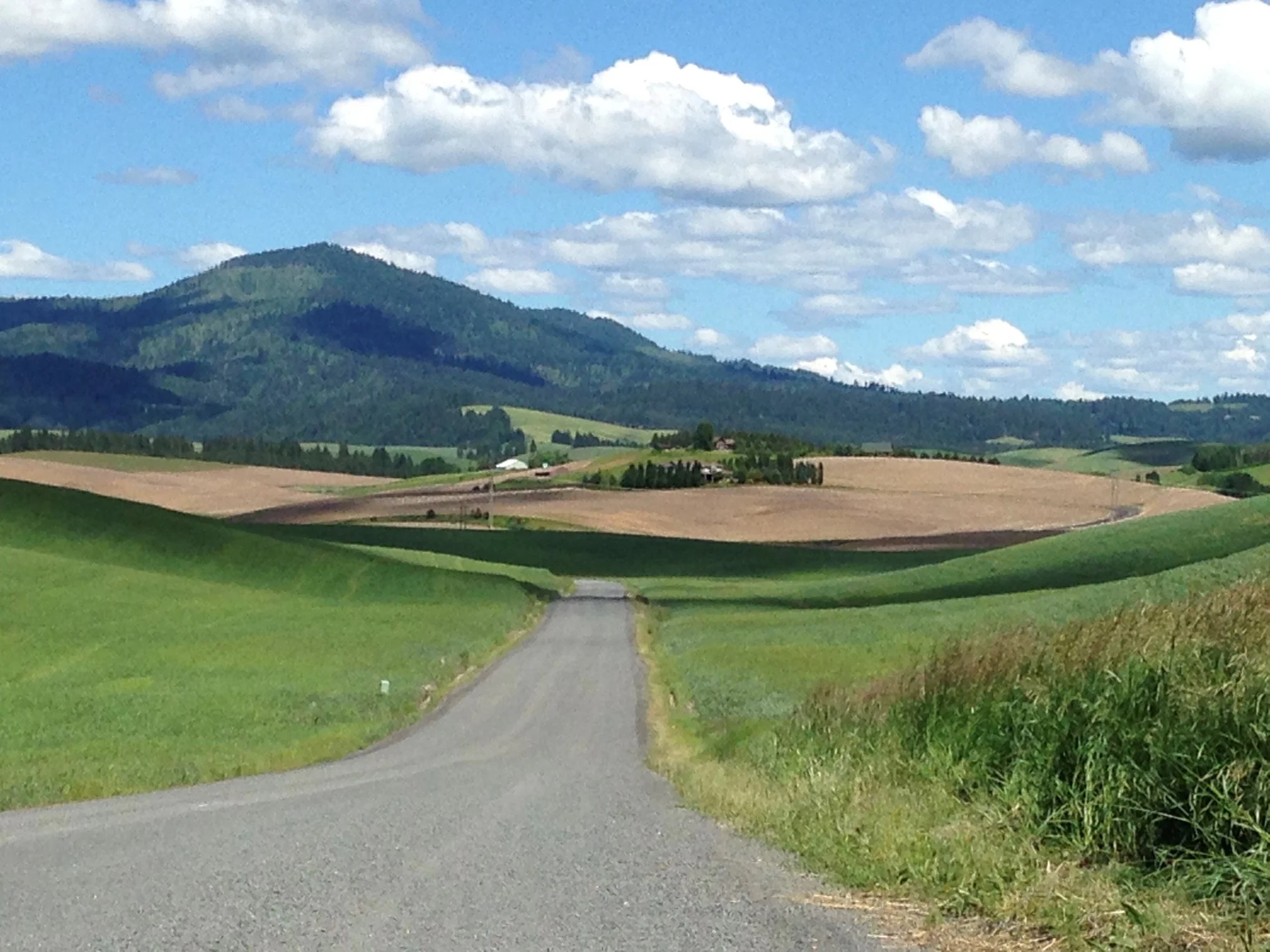 Moscow Mountain Madness photo 5