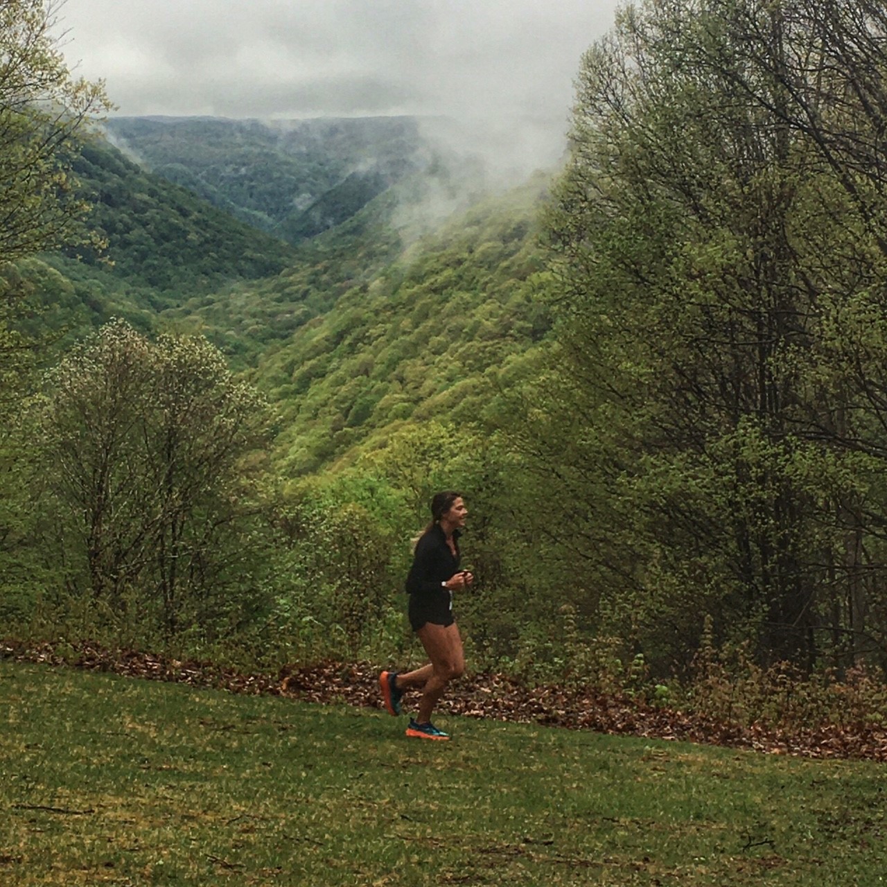 2026 Babcock Gristmill Grinder photo 3