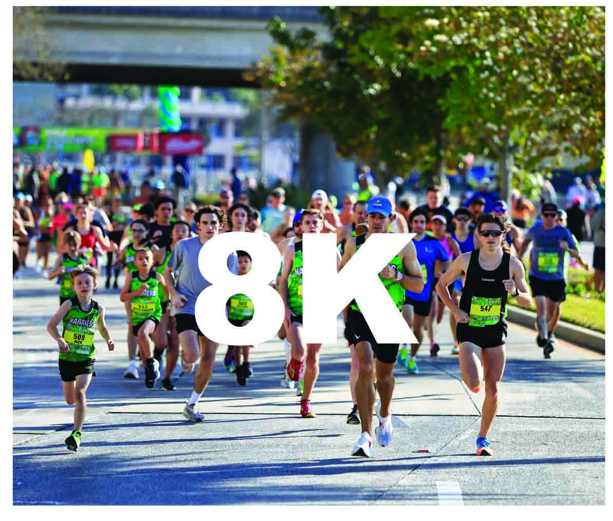 Gasparilla Distance Classic photo 2