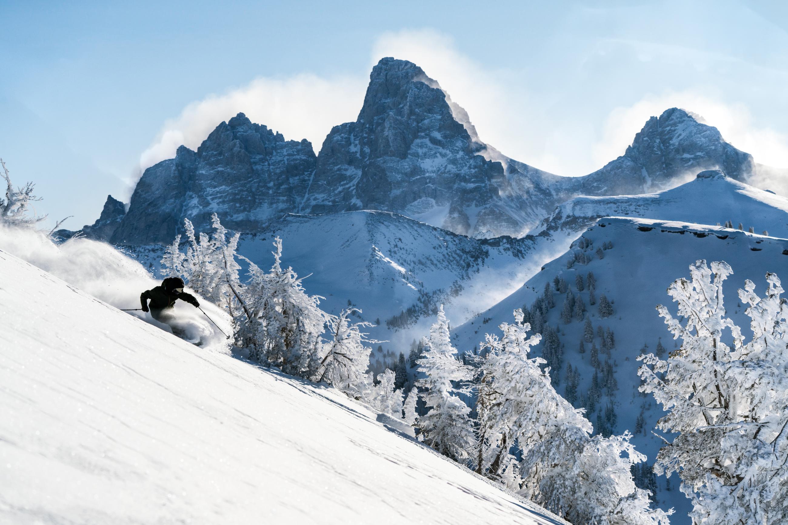 Grand Targhee Wildflower Run photo 1