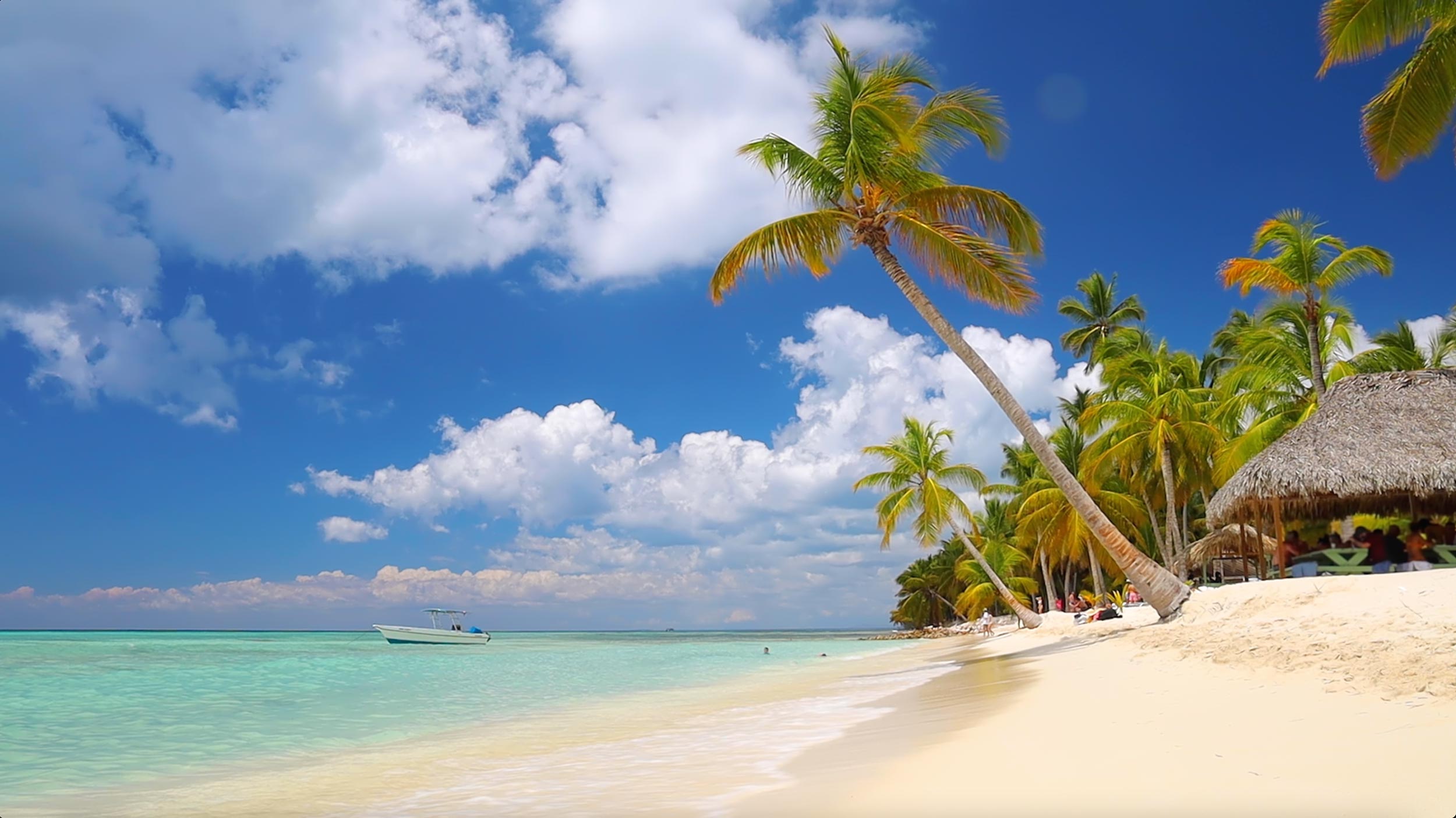 Margaritaville Run Orlando Half Marathon, 10K & 5K photo 2