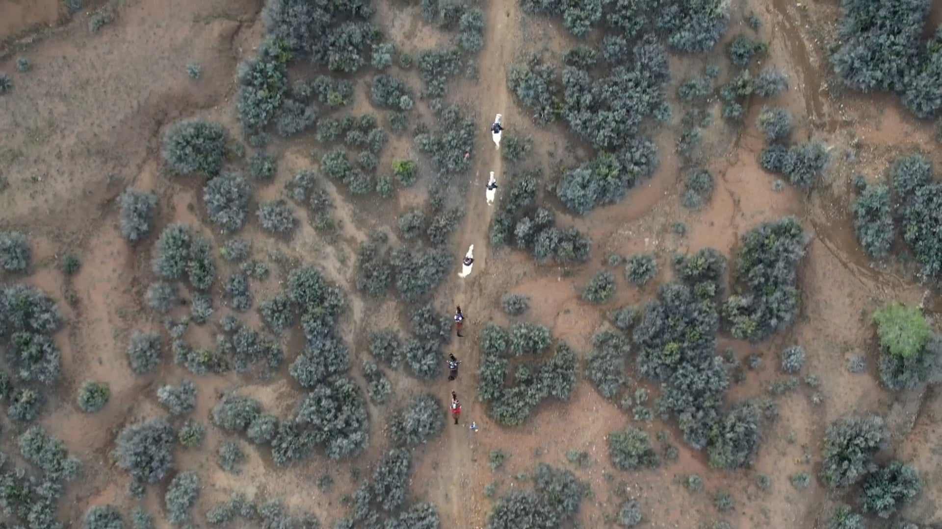 Man Against Horse Race photo 1