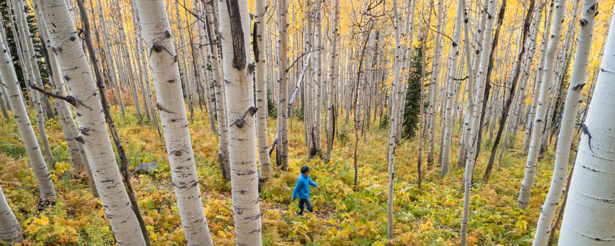 The Steamboat Marathon photo 6