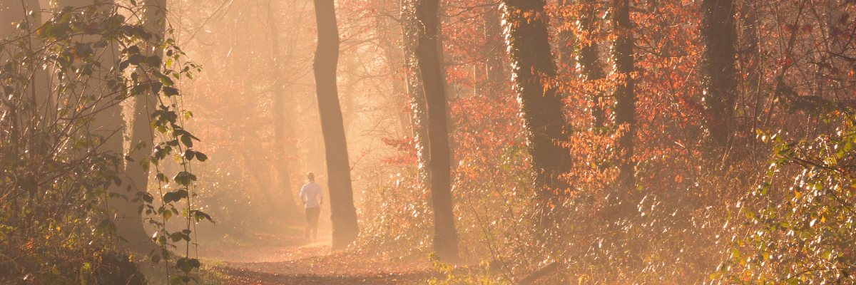 Bucks & Does 13.1 Pointer photo 3