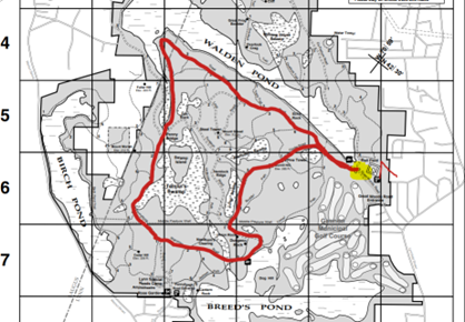 Stone Tower Half Marathon photo 3