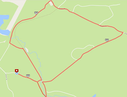 Run to the Rock photo 10