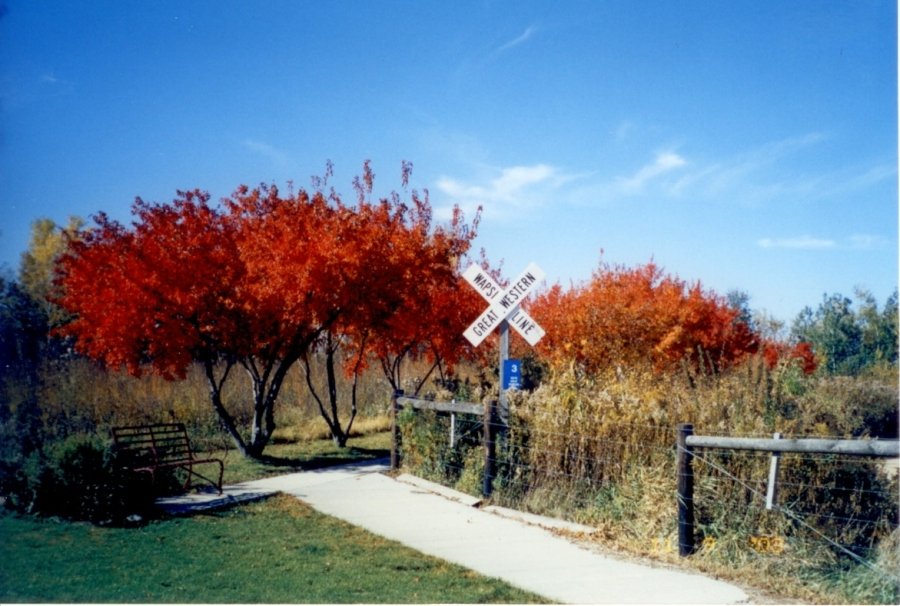 IronHorse - USATF Certified & Sanctioned photo 7