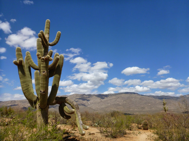 AZT Oracle Rumble photo 11