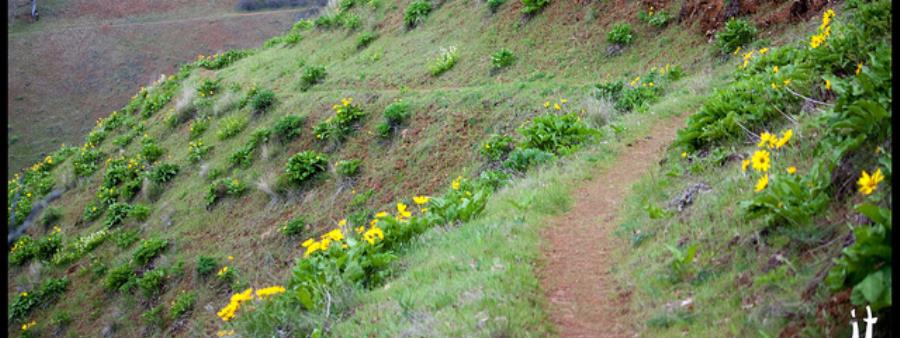 Fire on the Mountain Half photo 4