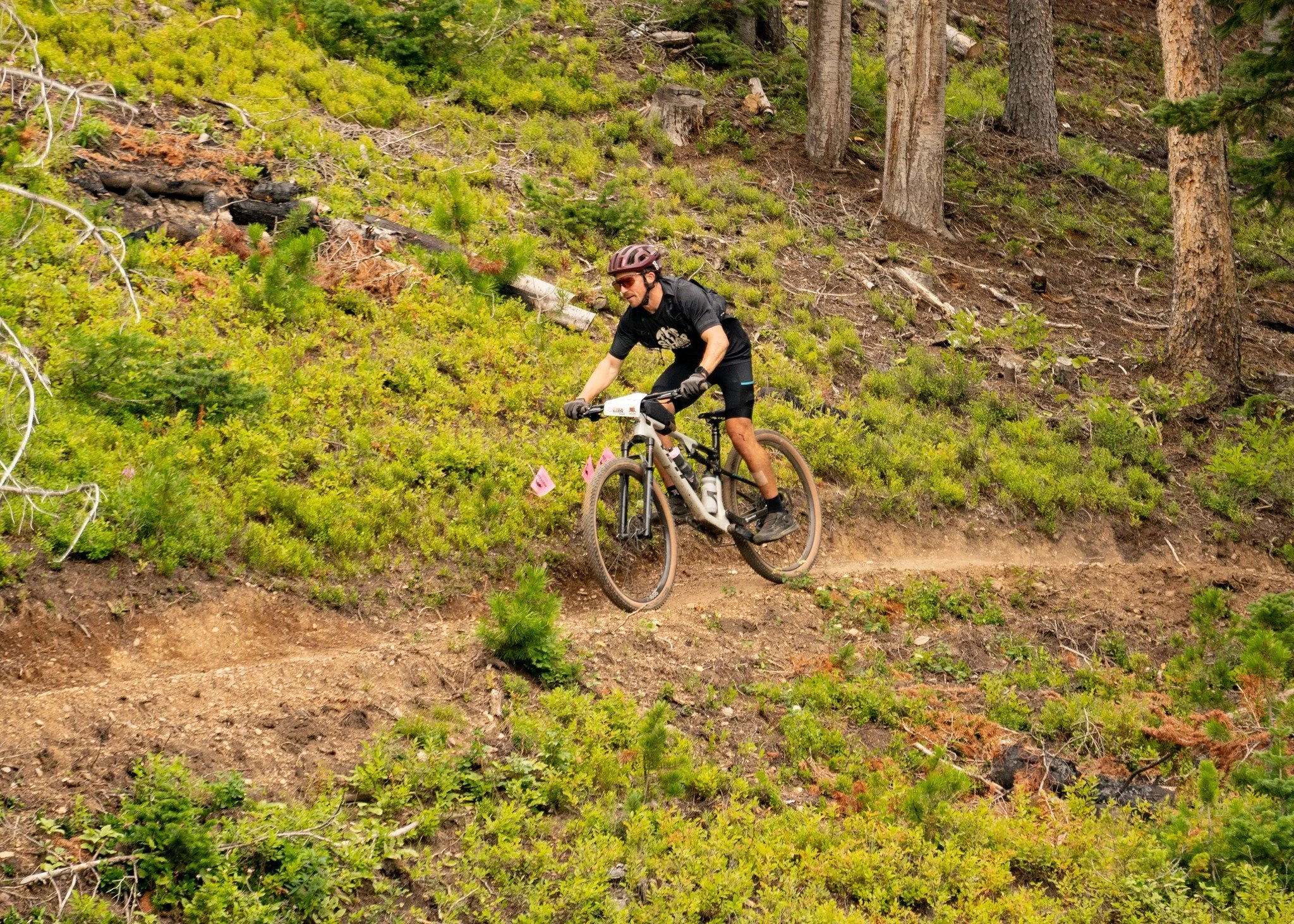 Beartooth Run photo 5