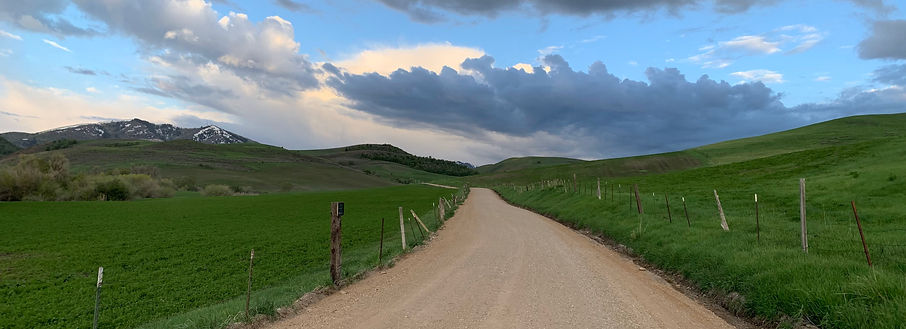 Crossover Half photo 8