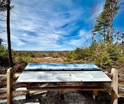 Stone Tower Half Marathon photo 8