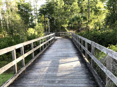 Fort Myers Half Marathon & 5K photo 2