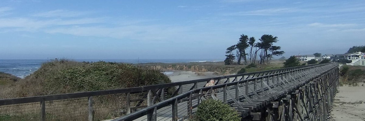 Red, White & Blue Race photo 1