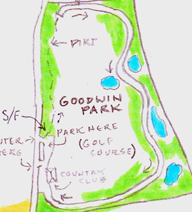 Maple Leaf Marathon photo 6