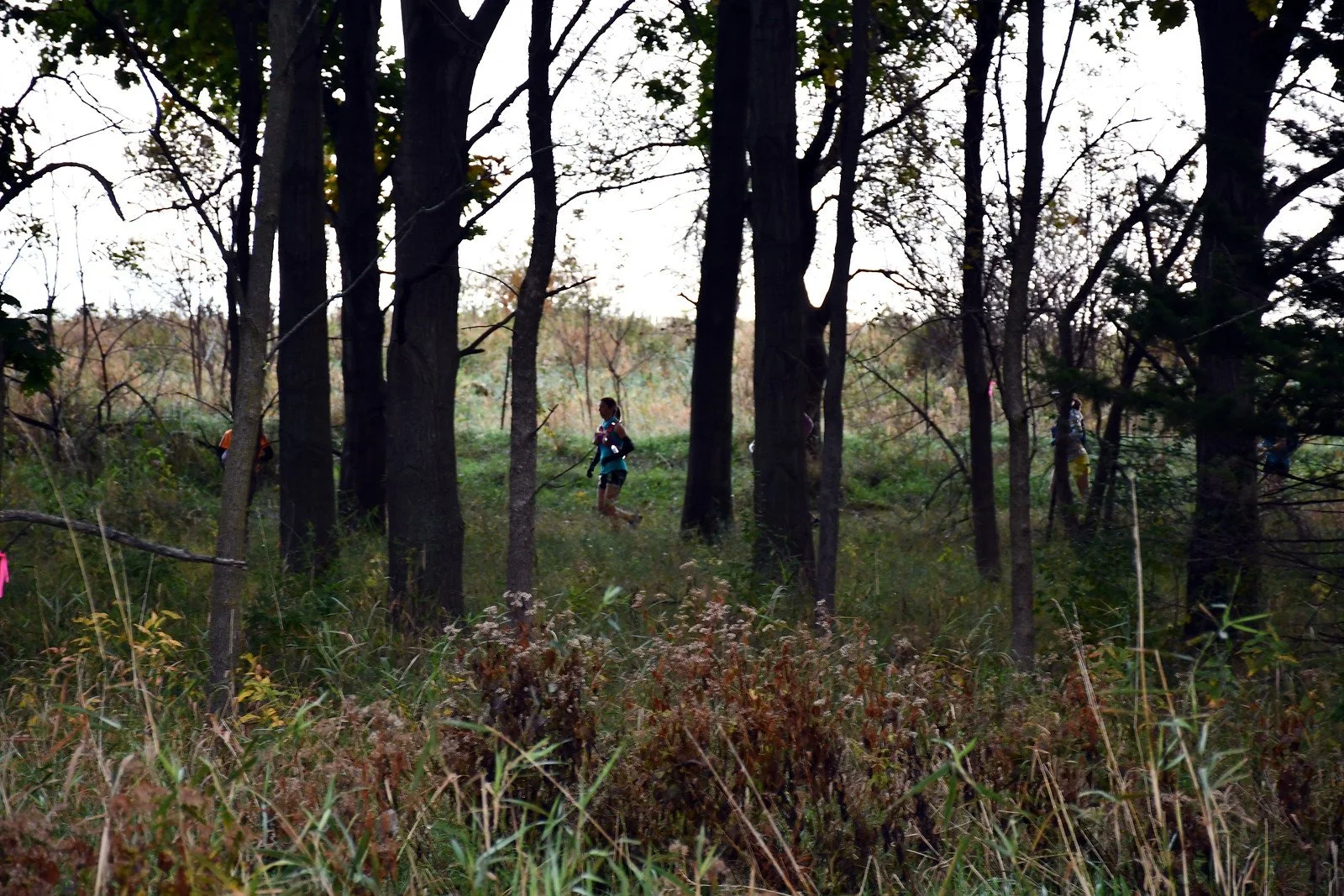 Hitchcock Experience photo 4