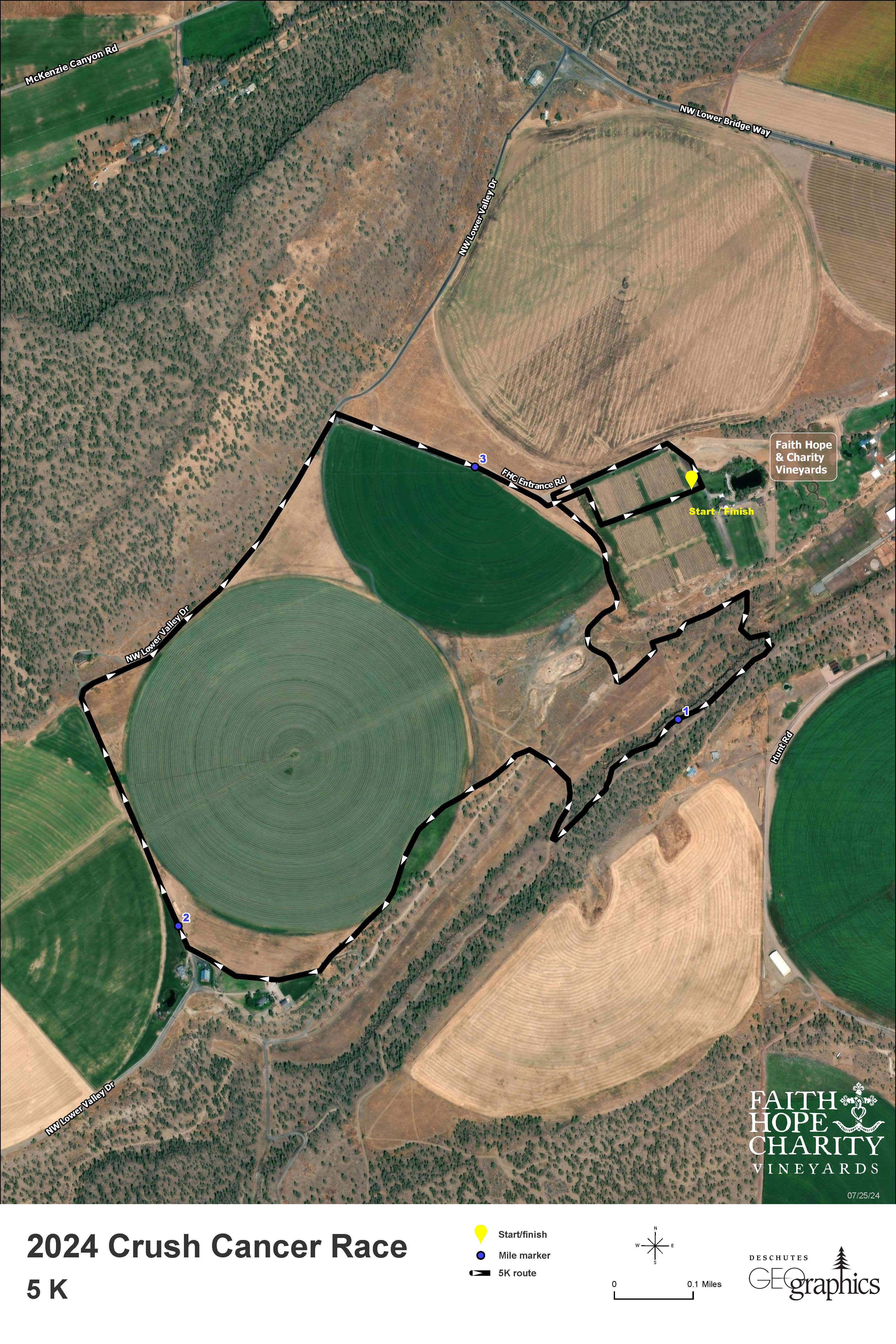 Crush Cancer Run photo 3