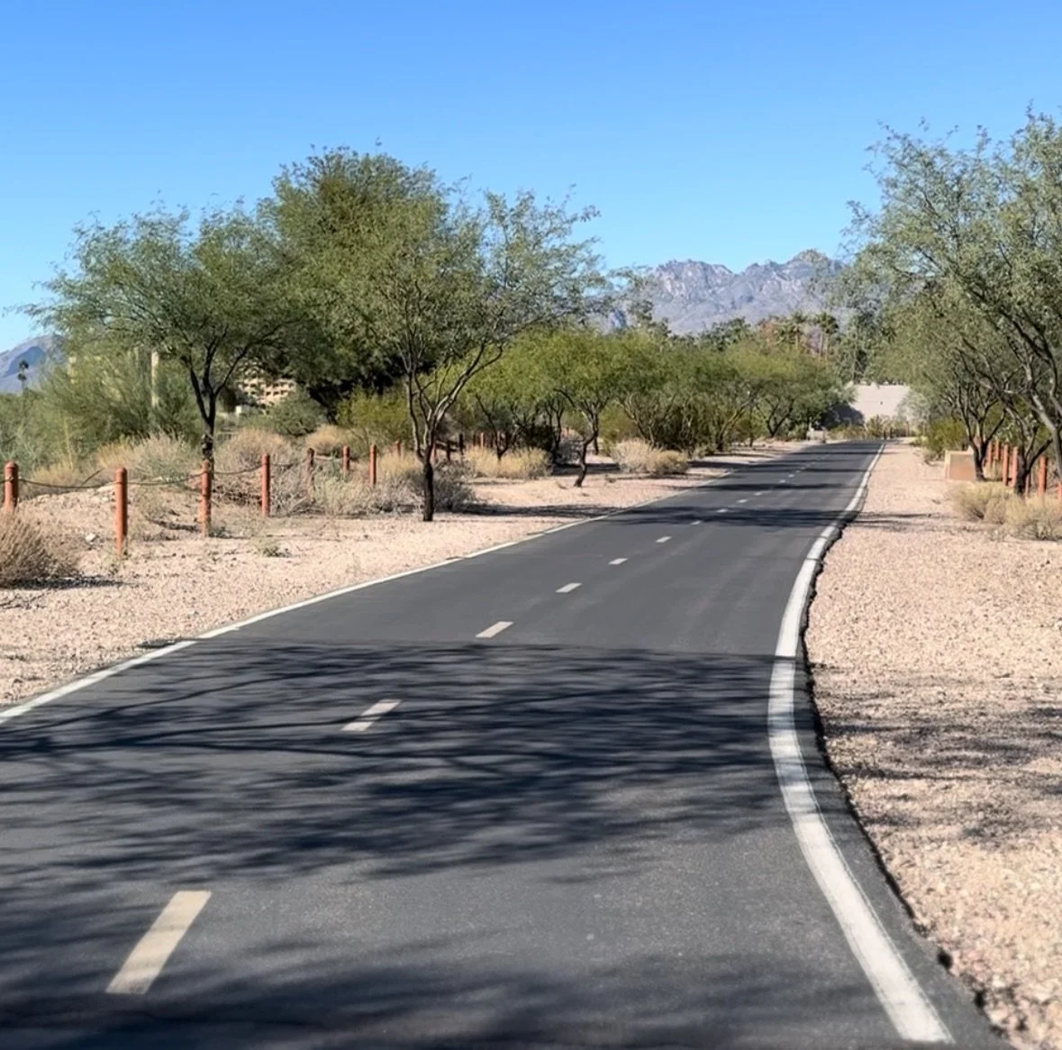 WICKED FAST MARATHON & HALF MARATHON TUCSON, ARIZONA photo 13