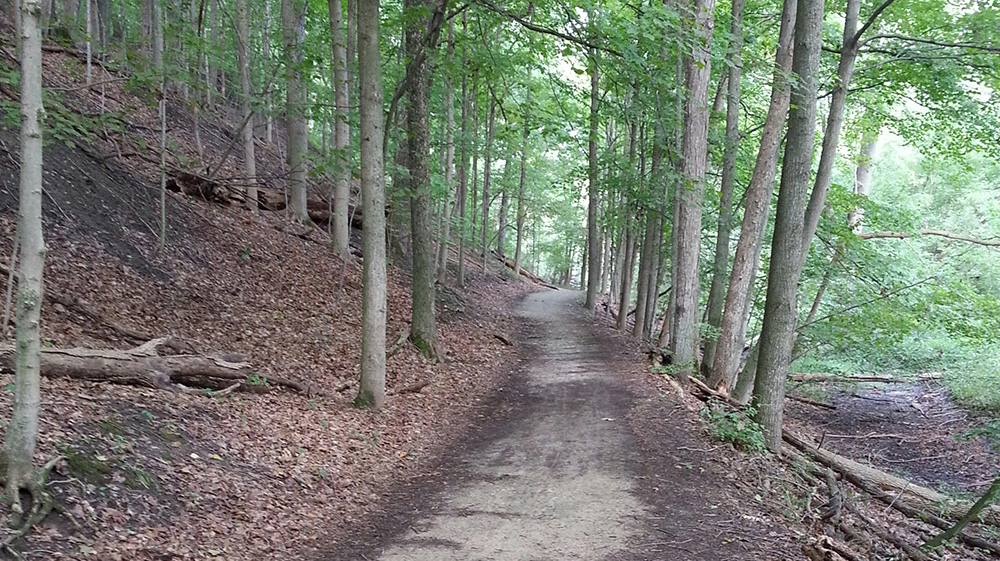 TURKEY TRAIL TROT & THE LEFTOVERS RACE photo 7