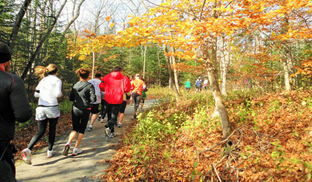 Mackinac Island Great Turtle Half Marathon & 5.7 Mile photo 3