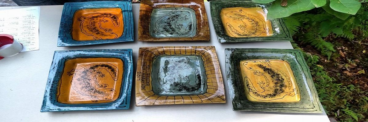 Hellbender 5k & Half Marathon photo 1